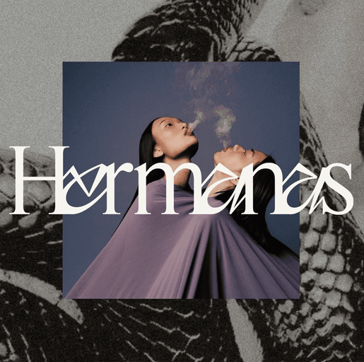 Hermanas
